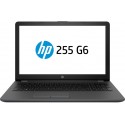 Ноутбук HP 255 G6 (1WY47EA) пепел 15.6"