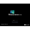 ПО Microsoft Windows Svr Std 2019 64Bit English DVD 16 Core
