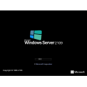 ПО Microsoft Windows Svr Std 2019 64Bit Russian DVD 16 Core