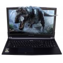Ноутбук Dream Machines G1060-15 (G1060-15UA31) серый 15.6"