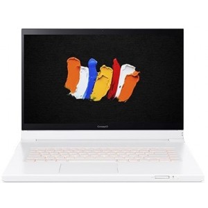 https://shop.ivk-service.com/766022-thickbox/noutbuk-acer-conceptd-7-ezel-156uhd-touchintel-xeon-w-10885m321024f1024fnvd5000-16w10pwhite.jpg