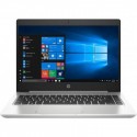 Ноутбук HP ProBook 445 G7 (7RX18AV_V8)